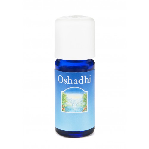 Lavande Haute-Provence 10 ml
