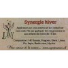 Synergie hiver