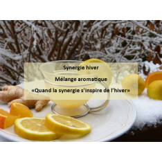 Synergie hiver